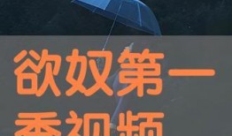 欲奴电视剧,欲望的枷锁，权力的挣扎