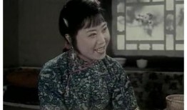 杨三姐告状电视剧,正义与复仇的交织