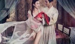 新金瓶梅电视剧,再现明代风华，揭秘西门庆传奇人生