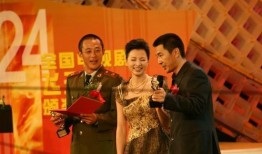 飞天奖电视剧,璀璨星光下的经典之作