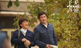 于无声处类似的电视剧,揭开无声处的秘密