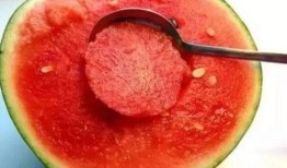 吃瓜爆料比较准的yxh,吃瓜爆料，权威yxh带你直击真相现场